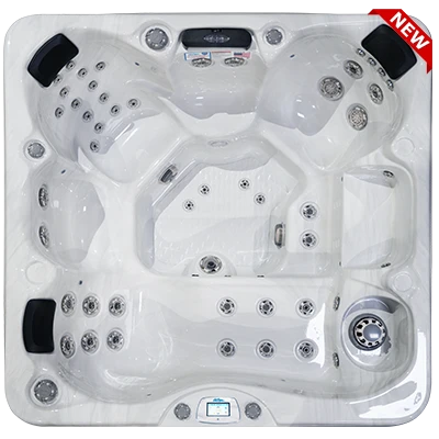 Avalon-X EC-849LX hot tubs for sale in Aurora